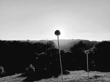 Quinta Da Pera Rocha Back Too Nature B&B 알코바카