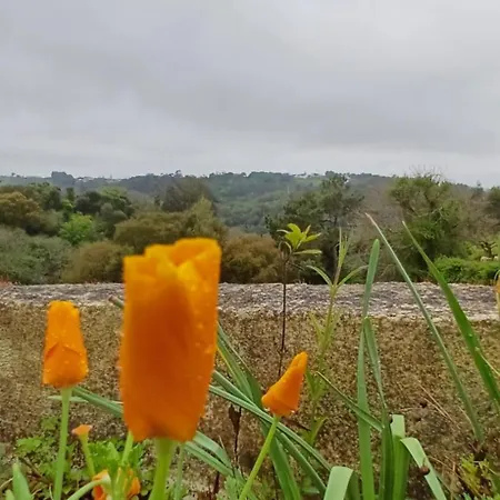 B&B Quinta Da Pera Rocha Back Too Nature 알코바카