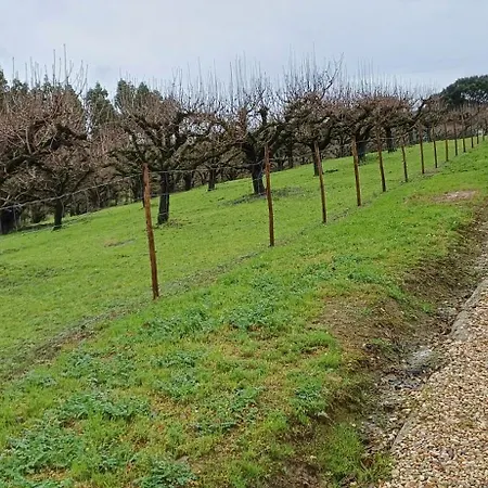 Quinta Da Pera Rocha Back Too Nature * 알코바카