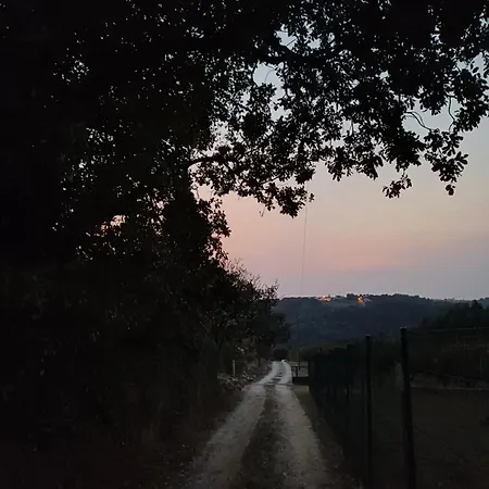 Quinta Da Pera Rocha Back Too Nature * 알코바카