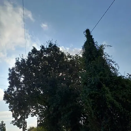 Quinta Da Pera Rocha Back Too Nature B&B *