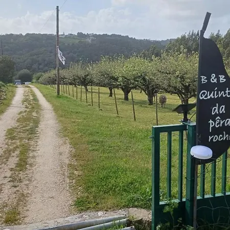 Quinta Da Pera Rocha Back Too Nature B&B