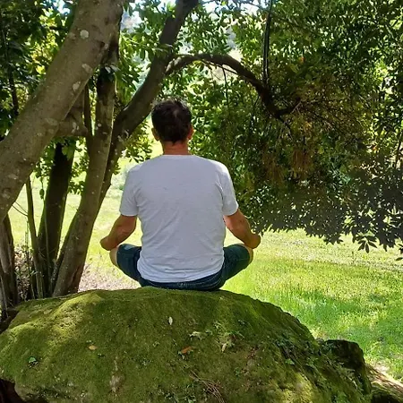 Quinta Da Pera Rocha Back Too Nature B&B *